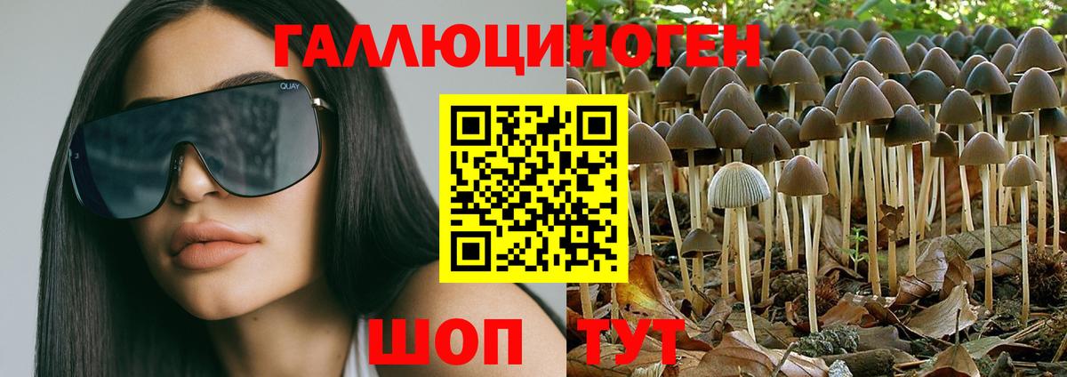 Галлюциногенные грибы GOLDEN TEACHER Киселёвск