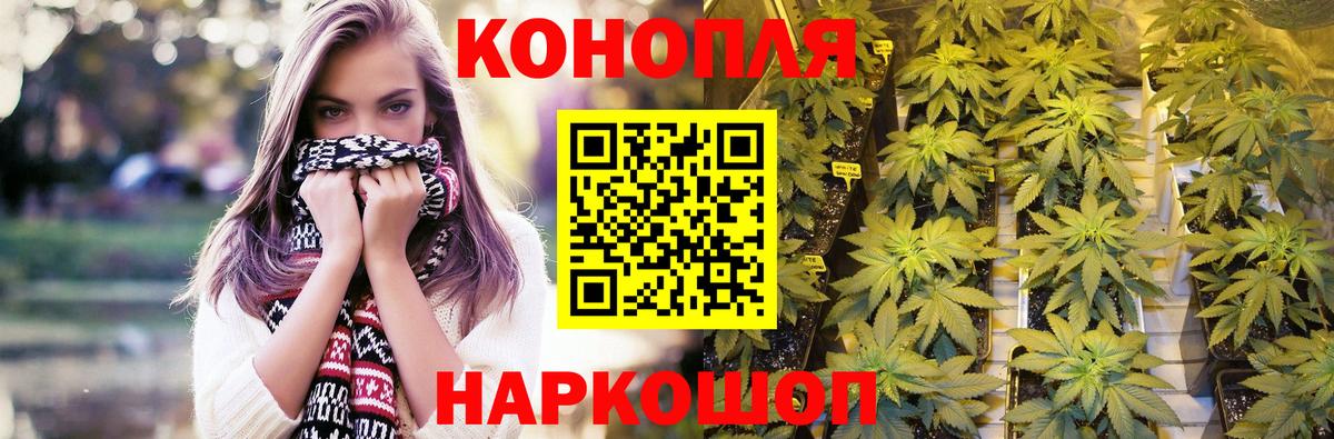 МАРИХУАНА VHQ  Канабис LSD WEED  Киселёвск  МАРИХУАНА THC 21%  Вход с VPN  Бошки Шишки планчик 